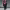 https://res.cloudinary.com/billionhands/image/upload/v1780750751/items/n8icnybm8zj6xzk6rvkp.avif-1cover