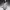 https://res.cloudinary.com/billionhands/image/upload/v1780750865/items/rrie963wvlzssujix0gf.webp-3cover