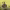 https://res.cloudinary.com/billionhands/image/upload/v1780756670/items/azspdyiprjpqjxdycmg7.jpg-3cover