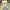 Lucy Heartfilia cover
