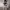 https://res.cloudinary.com/billionhands/image/upload/v1780764288/items/iylmqfsu4cxrlyirnykd.jpg-3cover