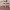 https://res.cloudinary.com/billionhands/image/upload/v1780764359/items/qoxmwmumgnmql5oo2opt.webp-2cover