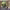 https://res.cloudinary.com/billionhands/image/upload/v1780764388/items/vvoum2iea1tnixieccck.jpg-0cover