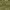https://res.cloudinary.com/billionhands/image/upload/v1780764815/items/yrswholgzerldy6lt5ot.jpg-0cover