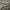 https://res.cloudinary.com/billionhands/image/upload/v1780764817/items/ev5kf1rksed8eynwxp9s.webp-2cover