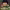 https://res.cloudinary.com/billionhands/image/upload/v1780766432/items/zrcpdcactyfjep84fo9h.webp-0cover