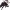 Yor Forger cover