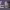 https://res.cloudinary.com/billionhands/image/upload/v1780766924/items/fvu14txpay9x0dmeoj5l.webp-2cover