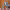 https://res.cloudinary.com/billionhands/image/upload/v1780768257/items/jprejwmvbbdxf2up4oof.avif-3cover