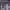 https://res.cloudinary.com/billionhands/image/upload/v1780768264/items/anltatzydaetcn0j0lcu.jpg-2cover