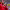 Michael Olise's Long-Range Goal (2024/2025 Bundesliga) cover