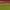 Jack Wilshere's Goal vs Norwich (2013/2014) cover