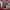https://res.cloudinary.com/billionhands/image/upload/v1780768470/items/vxarvjlkb8rtkiqfi1by.jpg-3cover