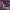 https://res.cloudinary.com/billionhands/image/upload/v1780771214/items/thste4b9a1xmpdrlv8pd.jpg-1cover