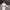 https://res.cloudinary.com/billionhands/image/upload/v1780771545/items/bljcougxib0pukdbiae1.webp-2cover