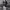 https://res.cloudinary.com/billionhands/image/upload/v1780771545/items/kzqh7mv5jjvo9vhvqqrd.jpg-1cover