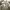 https://res.cloudinary.com/billionhands/image/upload/v1780771546/items/yxkqlvwlkiprjwleryjp.webp-2cover