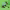 https://res.cloudinary.com/billionhands/image/upload/v1780772492/items/bjwde3dem9xee31xvqfw.webp-3cover