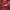https://res.cloudinary.com/billionhands/image/upload/v1780774629/items/nxwirkkpjdmxtcpo90wl.jpg-3cover