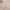 https://res.cloudinary.com/billionhands/image/upload/v1780774795/items/fjbpadlkkjfqx0arzjq4.jpg-3cover