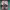 https://res.cloudinary.com/billionhands/image/upload/v1780774830/items/ddhmfaciqc1apoy7ezo6.webp-2cover