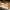 https://res.cloudinary.com/billionhands/image/upload/v1780774952/items/xryn4hfqnl5sbbtzethc.jpg-0cover