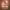 https://res.cloudinary.com/billionhands/image/upload/v1780775119/items/erxl5kjdvoxadkpaasng.jpg-2cover