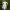 https://res.cloudinary.com/billionhands/image/upload/v1780775300/items/b6s9eoigbztecvsplzs8.webp-0cover