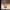 https://res.cloudinary.com/billionhands/image/upload/v1780775798/items/flyigixsyyp4e9gvkaa0.jpg-0cover