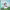 https://res.cloudinary.com/billionhands/image/upload/v1780778572/items/gie9q8fhenhcshdj9pzp.jpg-3cover