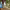 https://res.cloudinary.com/billionhands/image/upload/v1780778694/items/imll8uwvazeej2vacnft.webp-2cover