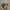 https://res.cloudinary.com/billionhands/image/upload/v1780779053/items/b4ziuqtvkscl6npxcyg2.webp-2cover