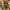 https://res.cloudinary.com/billionhands/image/upload/v1780782329/items/ms96wqugpf7xpltessqd.jpg-2cover