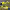 https://res.cloudinary.com/billionhands/image/upload/v1780785830/items/typ8a4h1kyexbxoneuuu.jpg-3cover