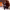 https://res.cloudinary.com/billionhands/image/upload/v1780786201/items/tan7jwvwgpgcbze3uqr9.jpg-1cover