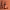 https://res.cloudinary.com/billionhands/image/upload/v1780786861/items/sjc5tzovhdz8ajtfjyp8.png-0cover