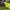 Hugo Lloris' Error (Champions League Final 2019) cover
