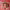 https://res.cloudinary.com/billionhands/image/upload/v1780792194/items/kcesgjkugp6ylsctiekt.jpg-0cover
