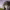 https://res.cloudinary.com/billionhands/image/upload/v1780792461/items/uz4i6w2jeeuctdz8hjnz.webp-3cover