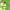 https://res.cloudinary.com/billionhands/image/upload/v1780792864/items/hbmzdoolnrfssiidhoog.jpg-2cover