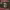 https://res.cloudinary.com/billionhands/image/upload/v1780792996/items/ncn4zna4x0si3lmbqhot.jpg-2cover