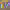 https://res.cloudinary.com/billionhands/image/upload/v1780793786/items/knmzhjh5b6i8bru8yujp.webp-0cover