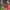 https://res.cloudinary.com/billionhands/image/upload/v1780793787/items/xp0qyjzcq1edxnzdlbkg.jpg-2cover
