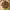 https://res.cloudinary.com/billionhands/image/upload/v1780795023/items/cg2uqhavdormrchap0li.jpg-1cover