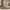 https://res.cloudinary.com/billionhands/image/upload/v1780799759/items/fid5tnnpmsra08qyuu9z.jpg-1cover