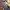 https://res.cloudinary.com/billionhands/image/upload/v1780800063/items/lbfmq8bj9dqzlovlwsdf.jpg-3cover