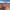 https://res.cloudinary.com/billionhands/image/upload/v1780800512/items/lvktkwlhbajoadv81sw4.jpg-2cover