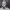 https://res.cloudinary.com/billionhands/image/upload/v1780802520/items/sbtbn3bjecsoinmbgd3s.jpg-2cover