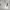 https://res.cloudinary.com/billionhands/image/upload/v1780803691/items/hokuyixq2slqxm9rwvk0.avif-0cover