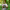 https://res.cloudinary.com/billionhands/image/upload/v1780810862/items/wk6jemcqg9c0pf1jnimh.jpg-1cover